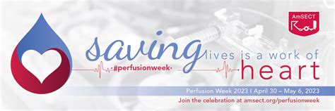 6656 amsectamsect. . Perfusion week 2023